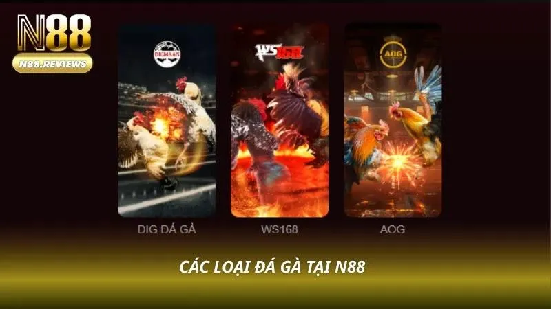 Nhiều hình thức đá gà hấp dẫn tại sảnh cược