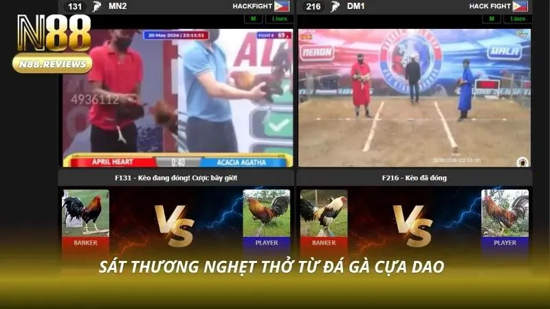 Khoảnh khắc giao đấu cựa dao kịch tính