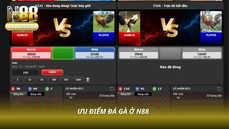 Người chơi theo dõi đá gà trực tuyến