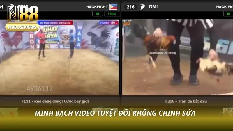 Video quay chậm toàn cảnh trận đấu thực tế