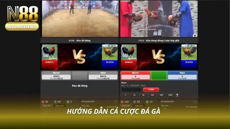 Giao diện đặt cược đá gà dễ sử dụng
